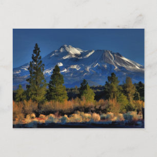 MOUNT SHASTA - PAINTERLY POSTCARD
