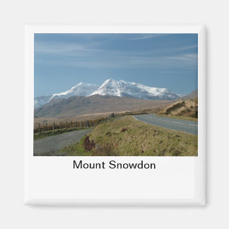 Mount Snowdon Magnet