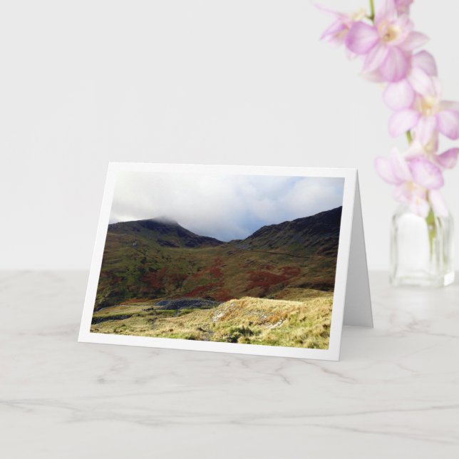 Mount Snowdon, Snowdonia National Park, Welsh Card (Orchid)