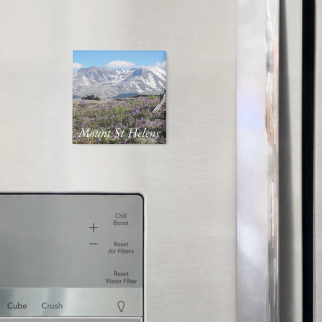 Mount St Helens Wildflowers Landscape Magnet (In Situ (Fridge))