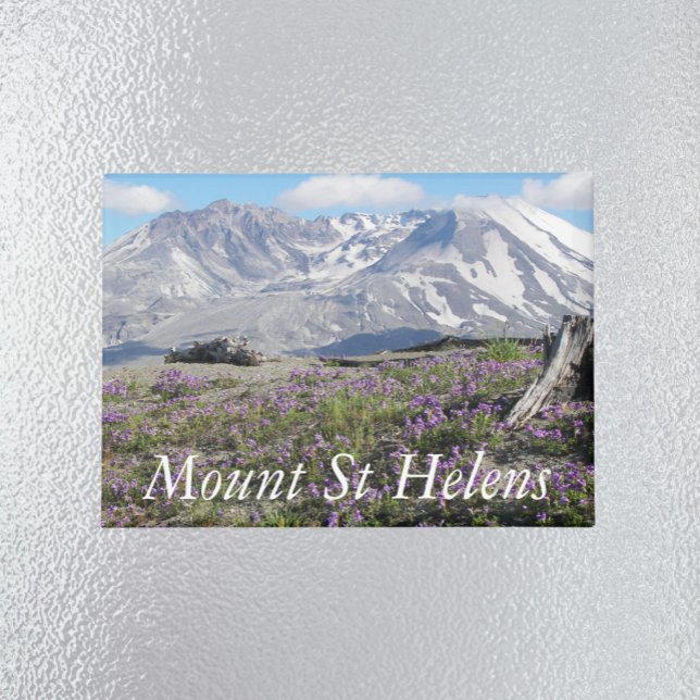 Mount St Helens Wildflowers Landscape Magnet (In Situ Fridge)