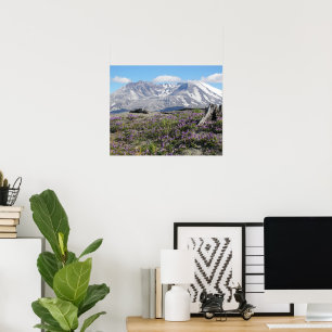 Mount St Helens Wildflowers Photo Poster