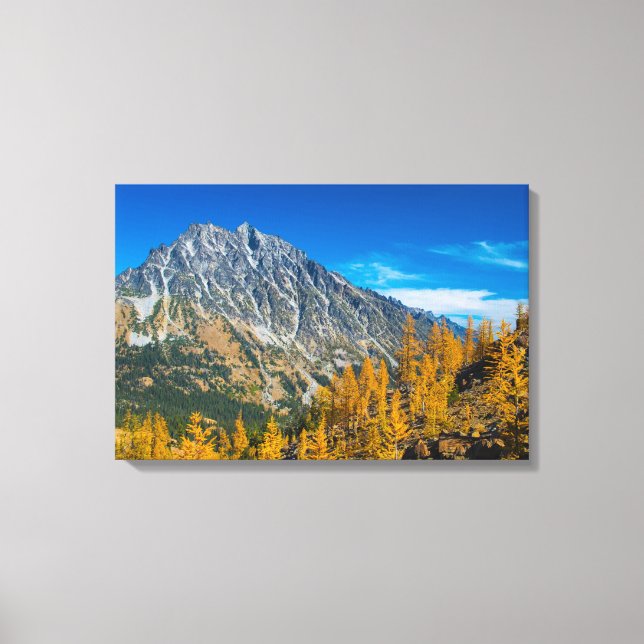 Mount Stuart & autumn larches Canvas Print (Front)
