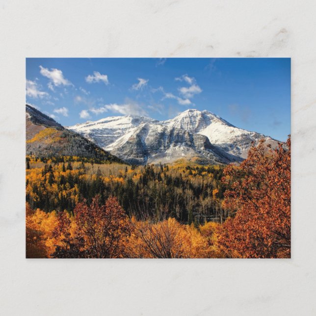 Mount Timpanogos in Autumn Utah Mountains Postcard (Front)