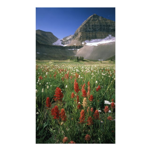 MOUNT TIMPANOGOS WILDERNESS, UT, US, PHOTO PRINT (Front)