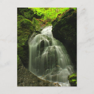 Mount Toby Roaring Falls Waterfall Postcard