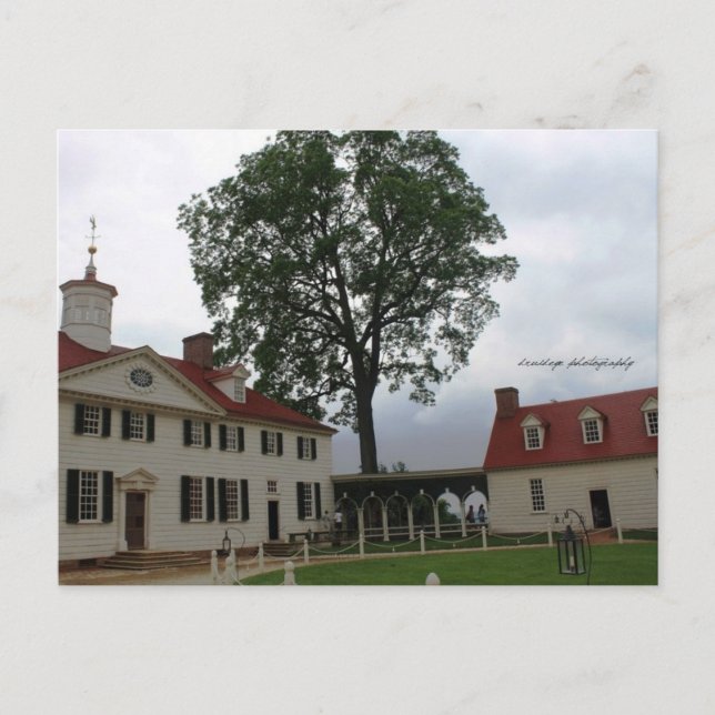 Mount Vernon Postcard (Front)