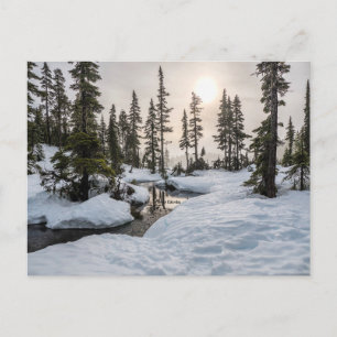 Mount Washington, British Columbia Postcard