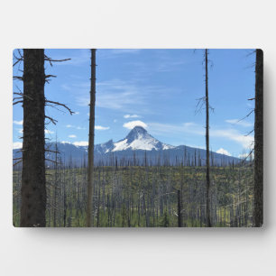 Mount Washington, OR Plaque