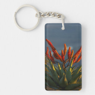 Mountain Aloe (Aloe Marlothii Berger) Key Ring