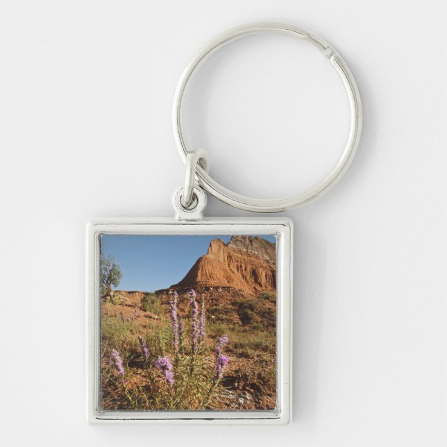 Mountain and Gayfeather Key Ring (Front)
