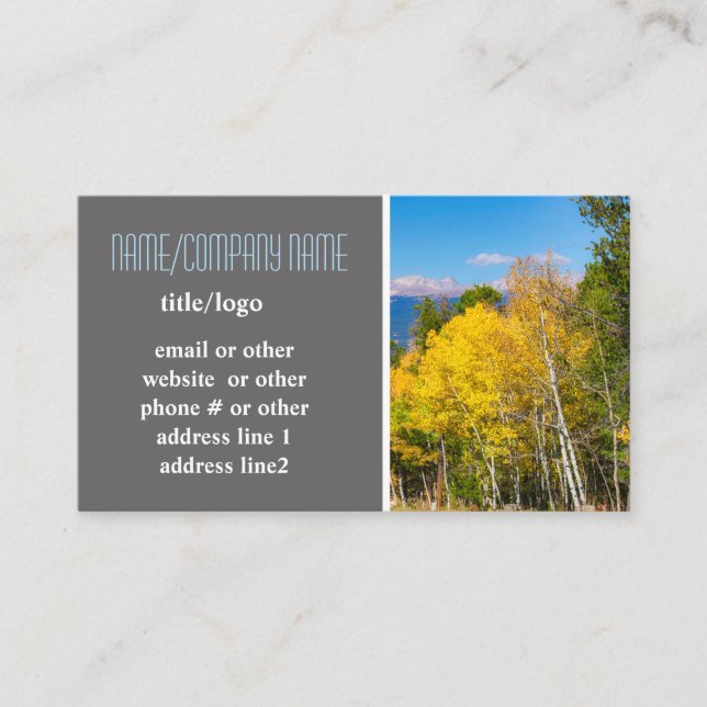 mountain aspen trees autumn yellow nature photo business card (Front)