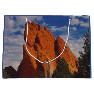 mountain beauty large gift bag