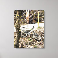 MOUNTAIN BIKES
