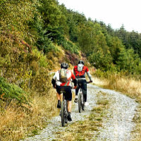 MOUNTAIN BIKING