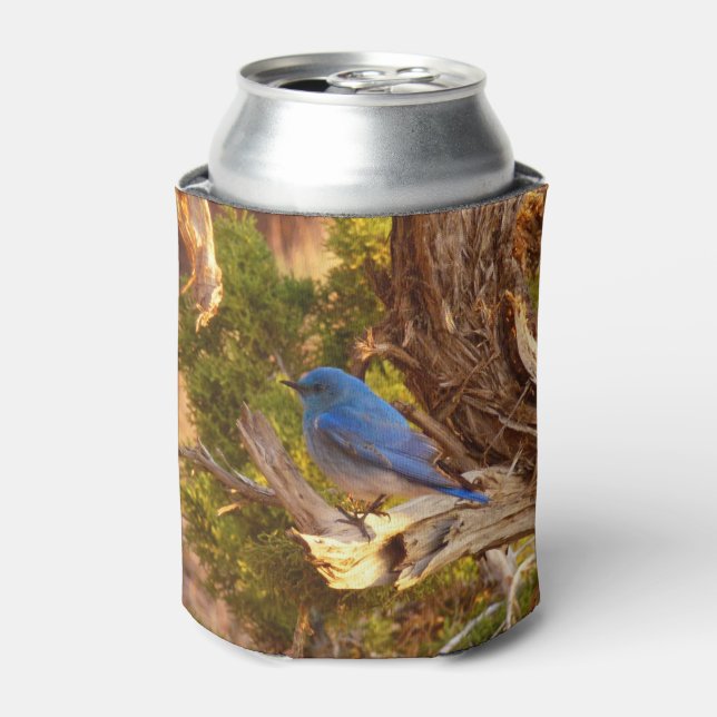 Mountain Bluebird at Arches National Park Can Cooler (Can Front)