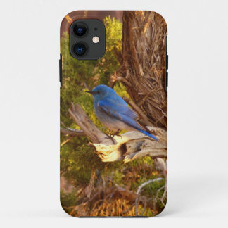 Mountain Bluebird at Arches National Park Case-Mate iPhone Case