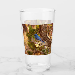 Mountain Bluebird at Arches National Park Glass