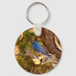 Mountain Bluebird at Arches National Park Key Ring