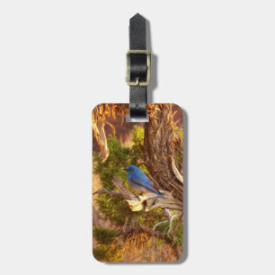 Mountain Bluebird at Arches National Park Luggage Tag