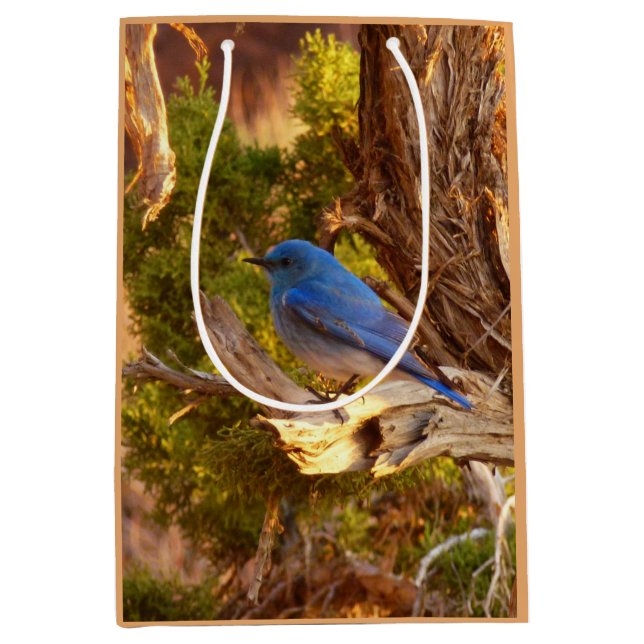 Mountain Bluebird at Arches National Park Medium Gift Bag (Front)