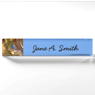 Mountain Bluebird at Arches National Park Nameplate