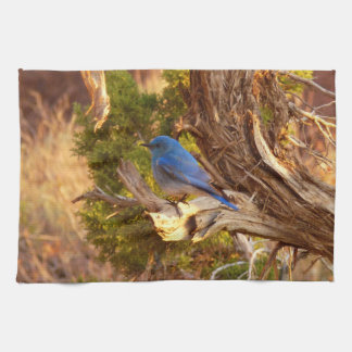 Mountain Bluebird at Arches National Park Tea Towel
