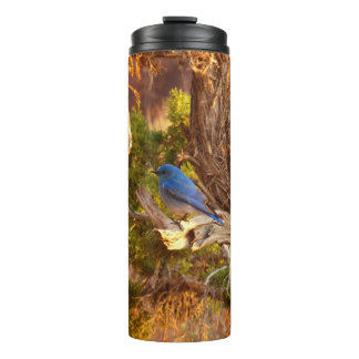 Mountain Bluebird at Arches National Park Thermal Tumbler