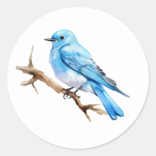Mountain Bluebird Classic Round Sticker
