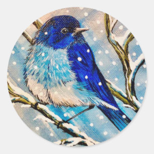 Mountain Bluebird in Christmas Snow Classic Round Sticker