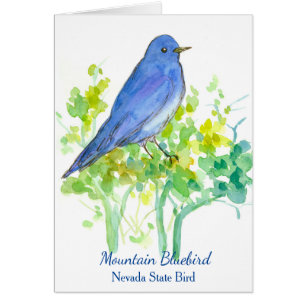 Mountain Bluebird Nevada State Bird Blank