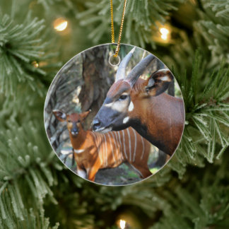Mountain Bongo and Calf Ceramic Tree Decoration