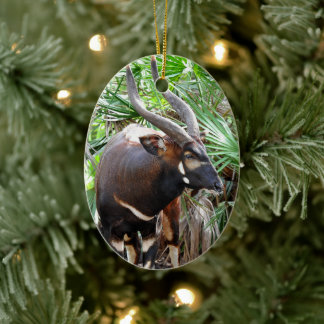 Mountain Bongo Antelope Ceramic Tree Decoration