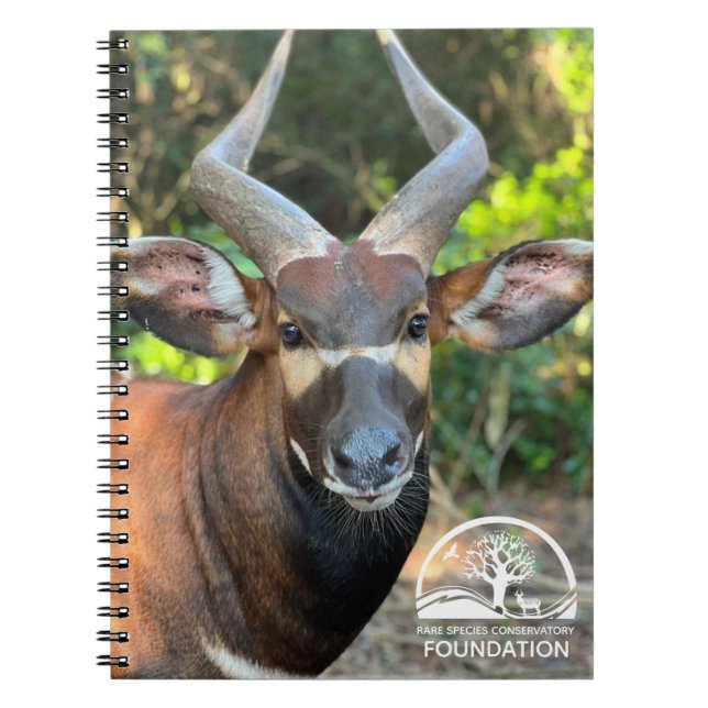 Mountain Bongo Notebook (Front)