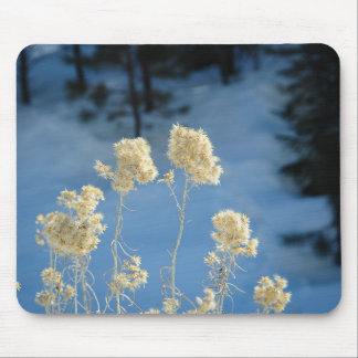 Mountain Brush Mouse Pad