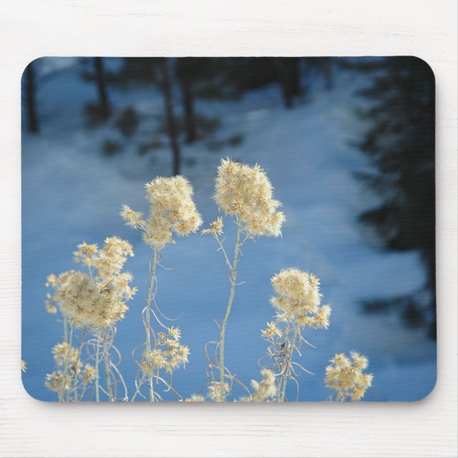 Mountain Brush Mouse Pad (Front)