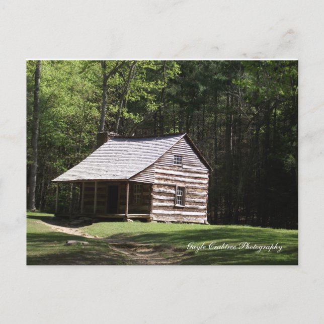 Mountain Cabin Postcard (Front)