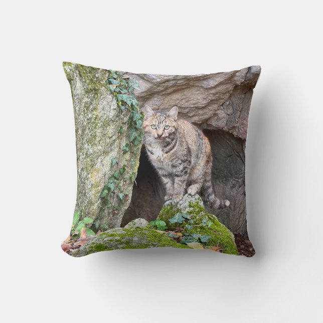 Mountain Cat Cushion (Front)
