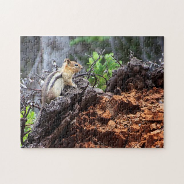 Mountain Chipmunk Puzzle (Horizontal)