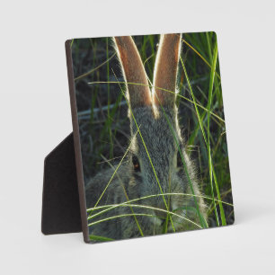 Mountain Cottontail Desktop Plaque