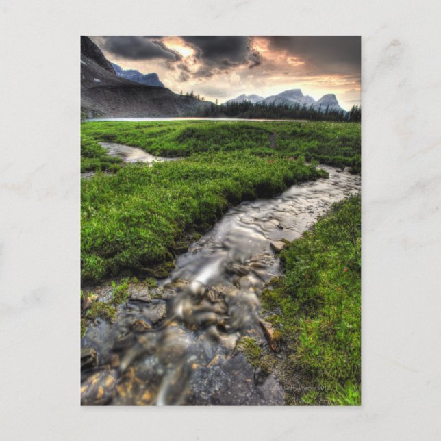 Mountain creek descends through meadow towards postcard (Front)