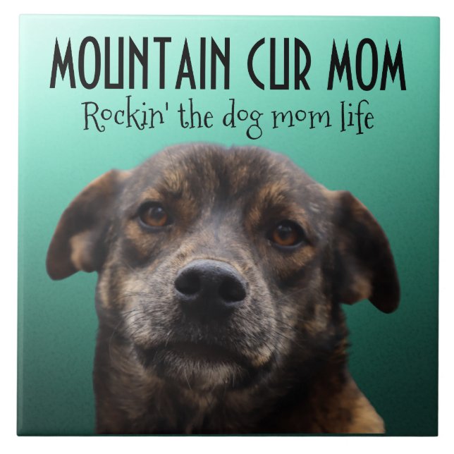 Mountain Cur Mum Ceramic Tile (Front)