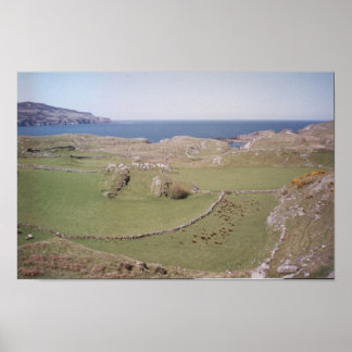 Mountain Field, West Donegal Poster
