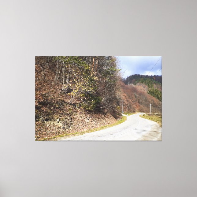 Mountain Forest Road - Wild Nature Romania Canvas Print (Front)
