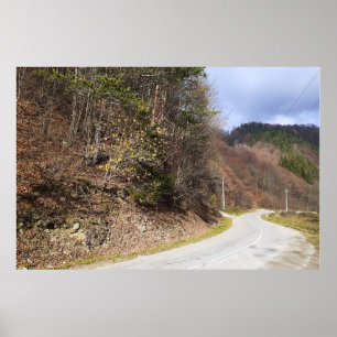 Mountain Forest Road - Wild Nature Romania Poster