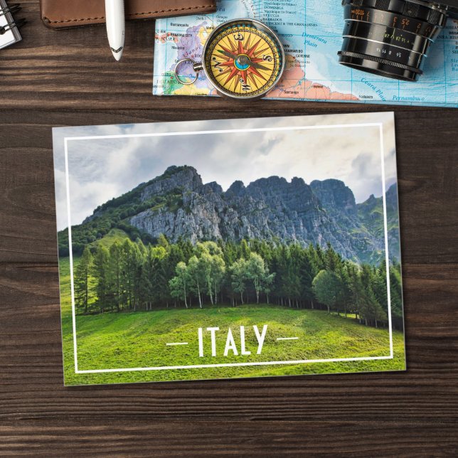 Mountain forest with pines in northern Italy Postcard (Creator Uploaded)