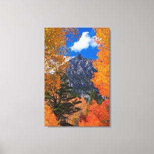 Mountain framed in fall foliage, CA Canvas Print