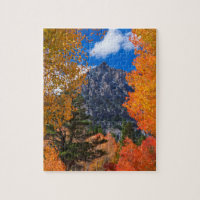 Mountain framed in fall foliage, CA