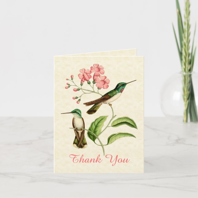 Mountain Gem Hummingbird Thank You Card (Front)
