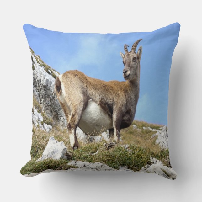 Mountain Goat Cushion (Front)
